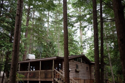 Off-Grid Island Cabin - Easy Flat Path to Beautiful White Sandy Beach.