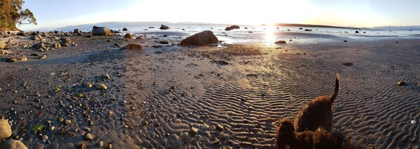 Plage à proximité, chaises longues, serviettes de plage