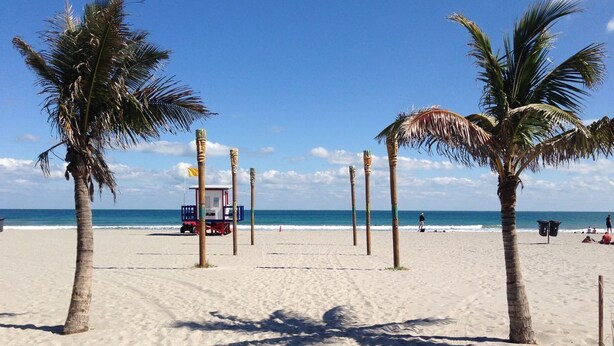 Ein Strand mit Palmen, einem Rettungsturm und dem Meer im Hintergrund.