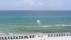 A beach with rows of sun loungers and umbrellas, a clear sky, and calm sea.