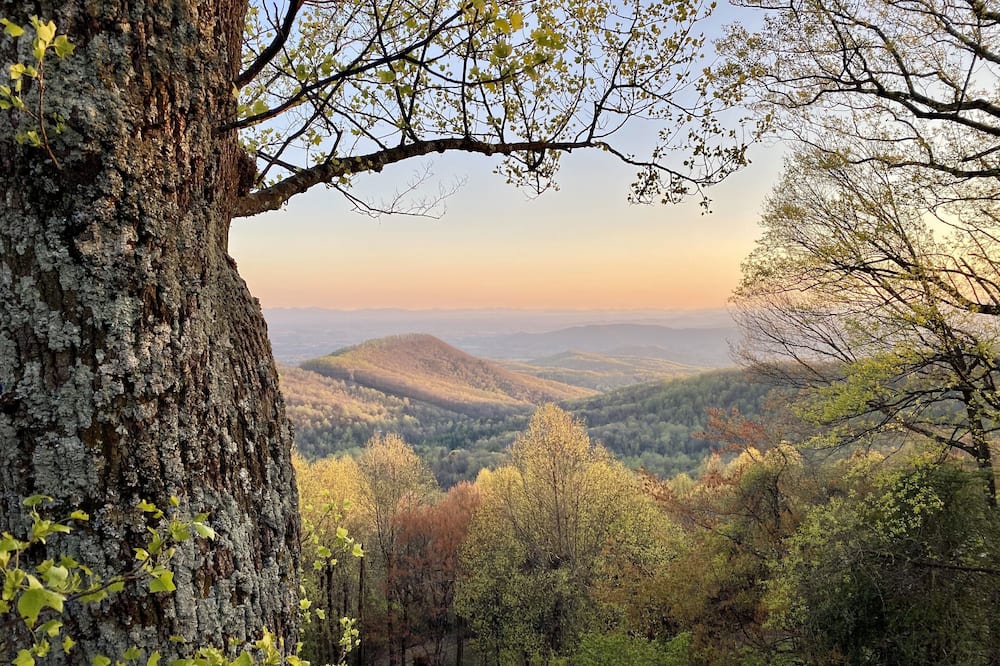 Galax Airbnb & Cheap Cabin Rentals from 53 AirCabins