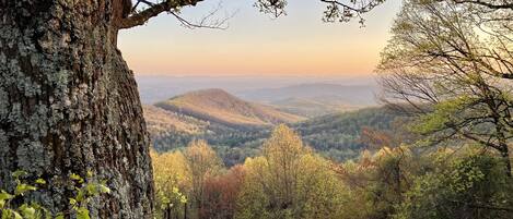 Overnatningsstedets område