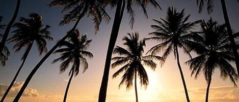 Beach nearby, sun loungers
