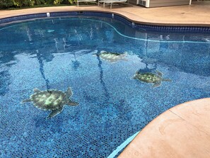 Ein Schwimmbecken mit Mosaikfliesen und drei darin schwimmenden Meeresschildkröten.