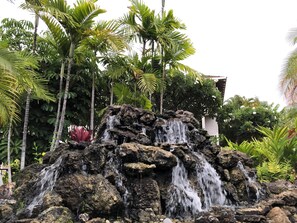 Una cascada fluye sobre terreno rocoso, rodeada de exuberante vegetación tropical.
