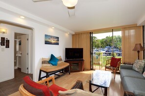 Smart TV, DVD player, books, video library