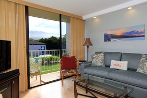 Smart TV, reproductor de DVD, libros y videoteca 