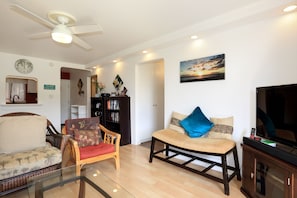 Smart TV, DVD player, books, video library