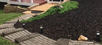 Charming Waterfront Cottage with Private Dock. Close to Annapolis & USNA