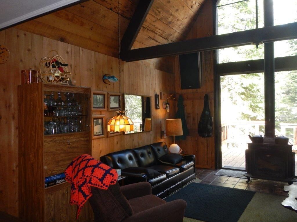 Bear Valley family fun in the trees