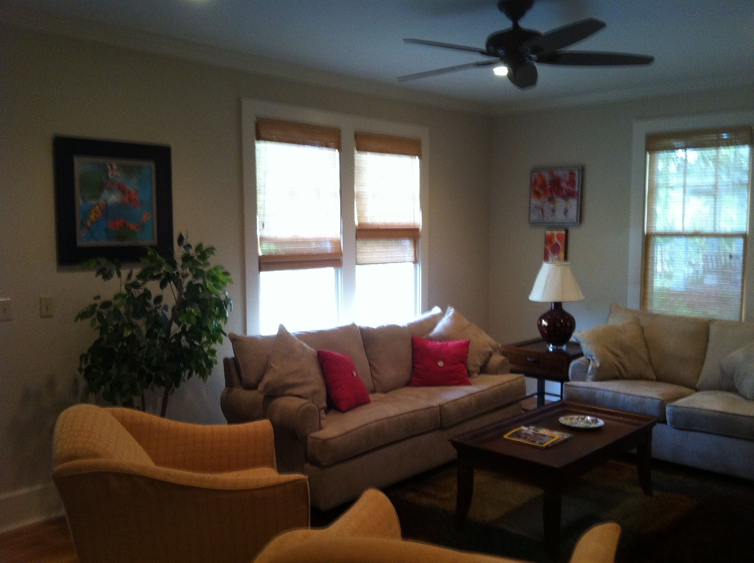 Charming Cottage Walking Distance from Square and Campus