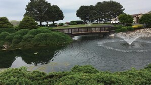 Un parque tranquilo con un estanque, un puente de madera y árboles maduros.
