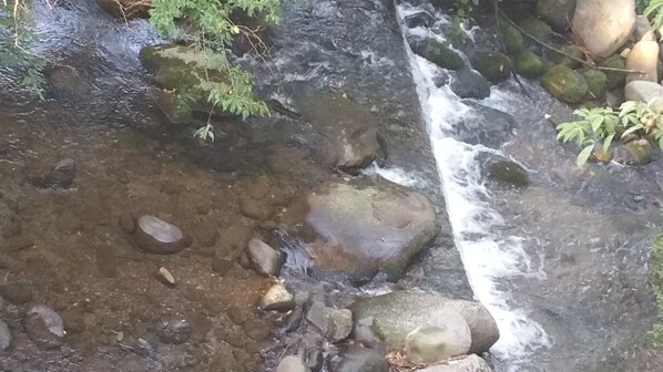 Un arroyo que fluye sobre rocas con agua cristalina y algo de vegetación a su alrededor.