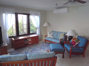 Flachbildfernseher, DVD-Player, Bücher, Videothek