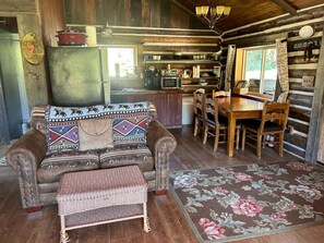 TV, fireplace, DVD player, books