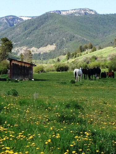 Yellowstone Park - Cabin On Private Creek, Other Lodging, Close To Activities