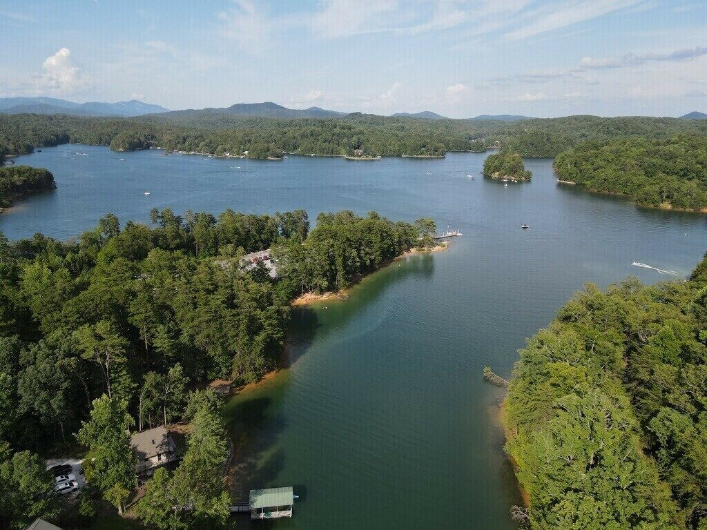 Vista aérea de un lago rodeado de bosque denso, con varias embarcaciones y un muelle.