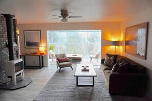 Een televisie, een open haard, boeken en streamingdiensten