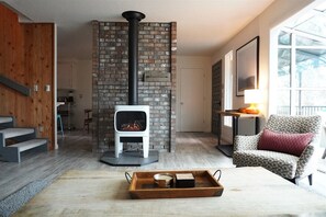 TV, fireplace, books, streaming services