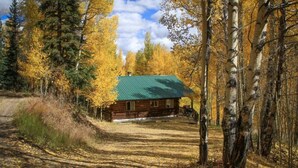 Une cabane entourée d’arbres aux feuilles jaunes, un sentier de terre menant à celle-ci et un toit vert.