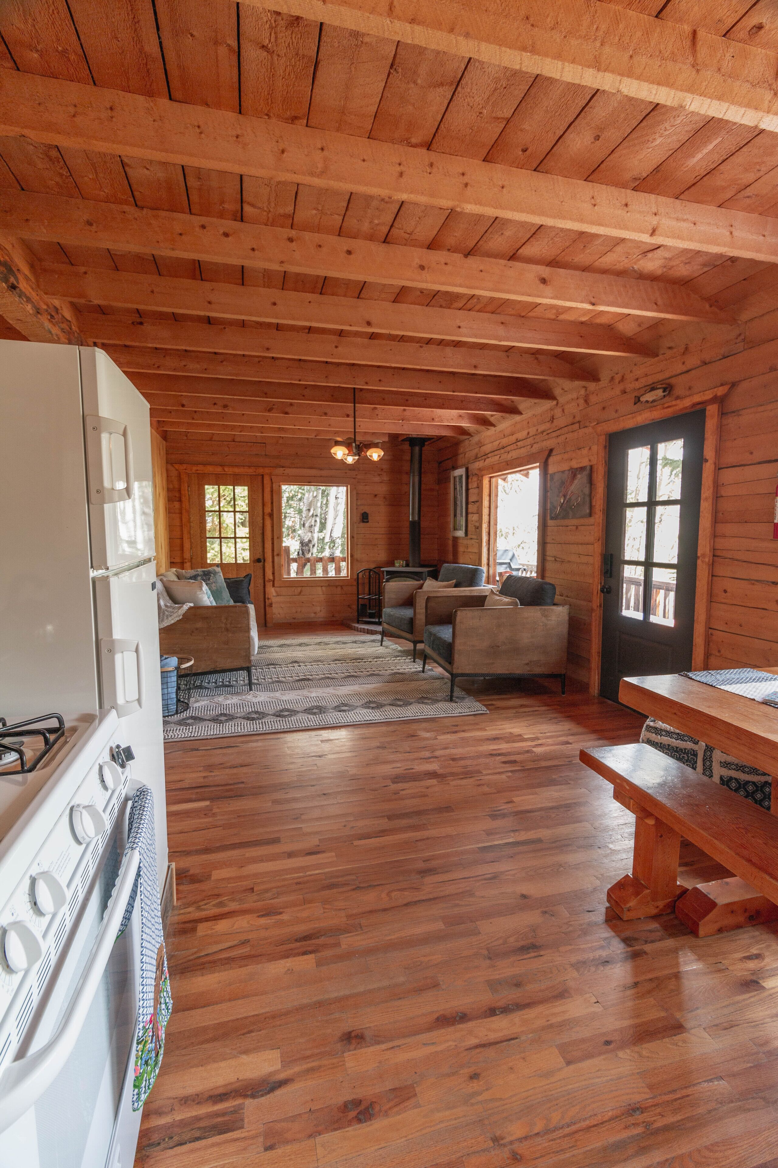 TV, fireplace, books