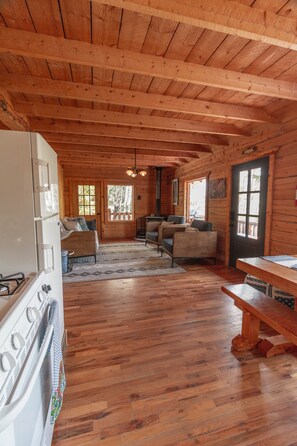 TV, fireplace, books