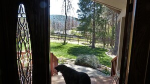 A dog standing on a wooden deck with a view of a grassy yard and trees. - SIERRA ESCAPE! SPACIOUS COUNTRY HOUSE WITH POOL & SPA--20 MINUTES FROM YOSEMITE! (Oakhurst)