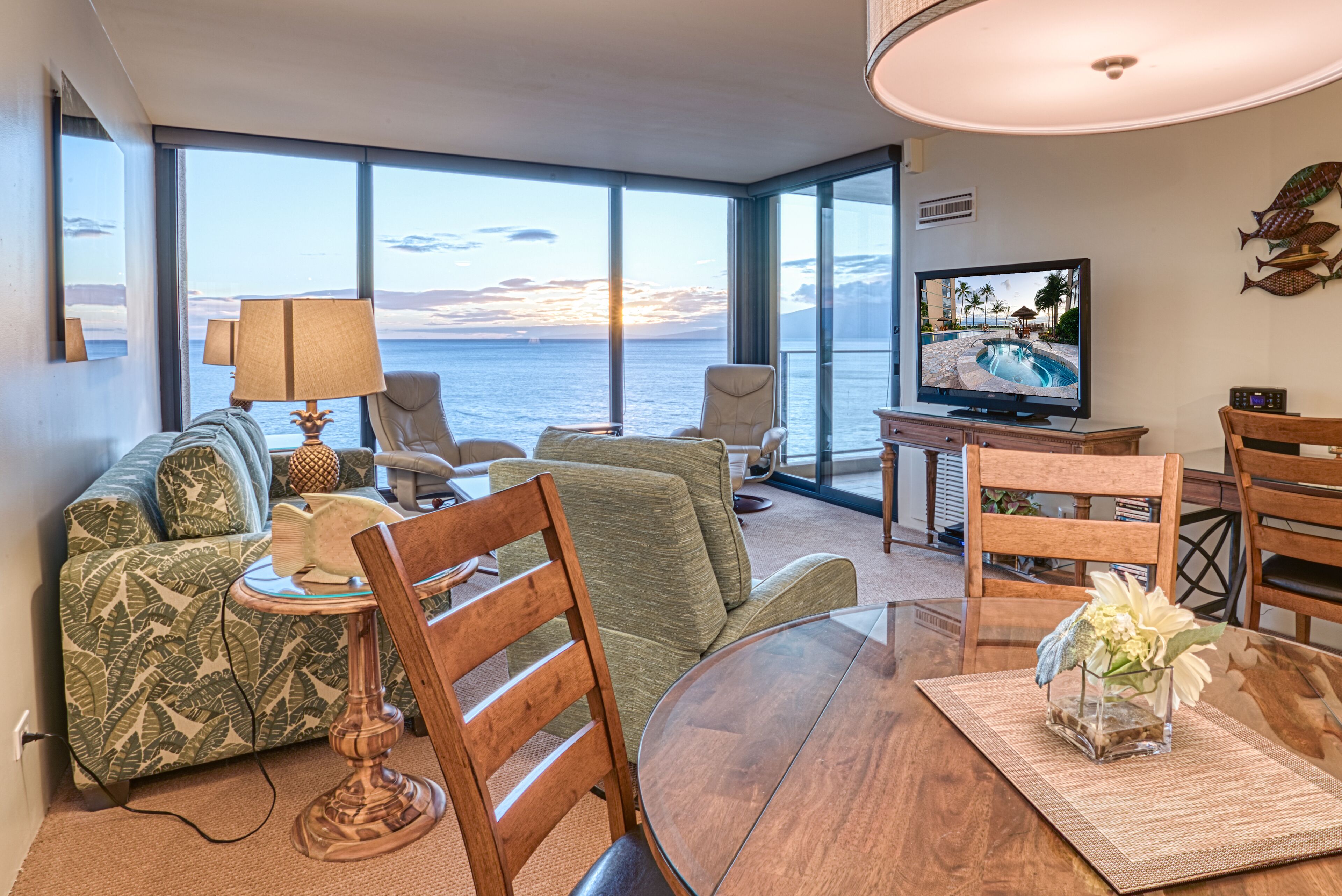 Smart TV, DVD player, books, video library