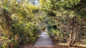Un sentier en bois bordé d’une végétation luxuriante.