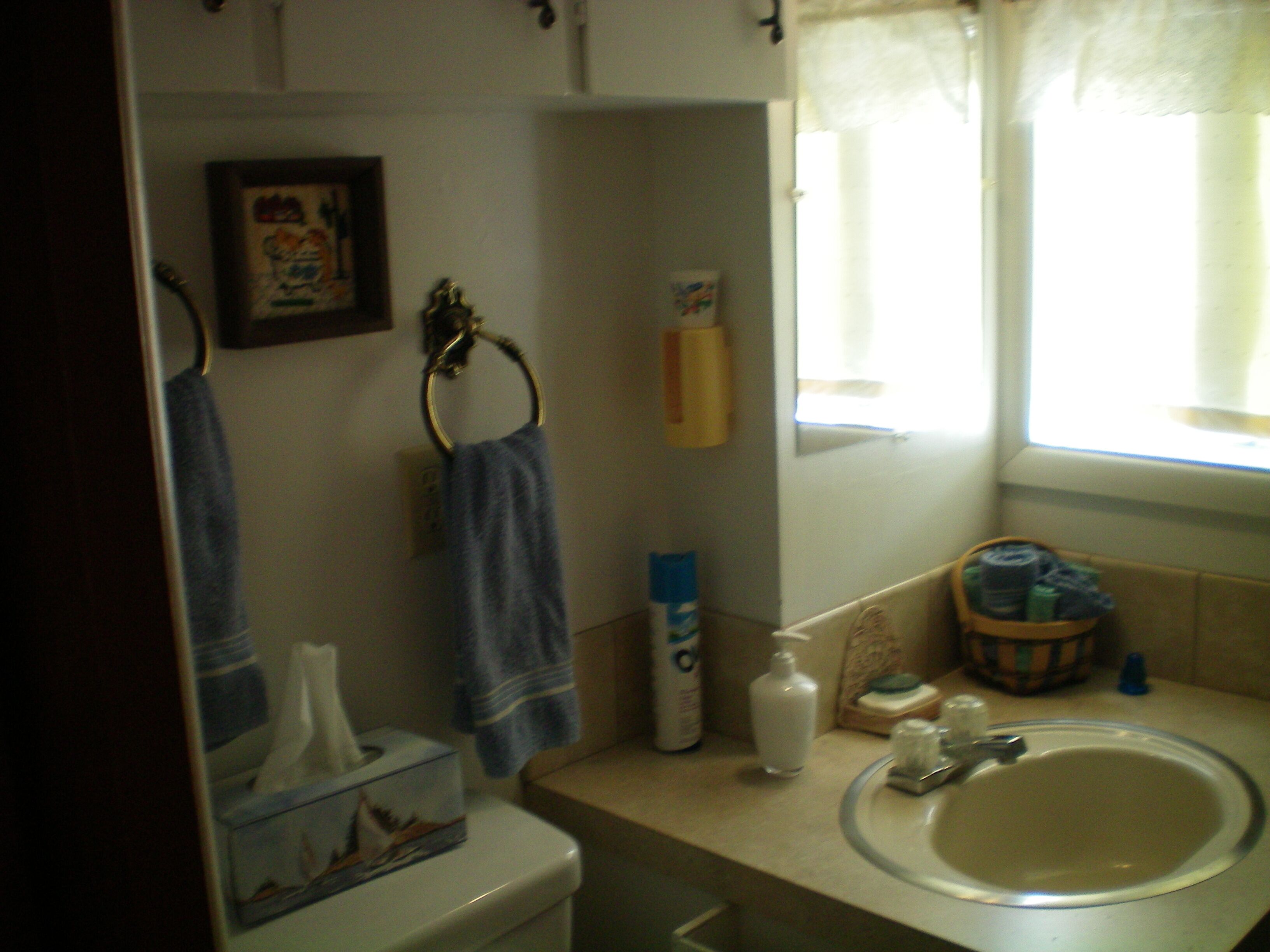 Cozy Cabin On The South Fork Of The Payette River