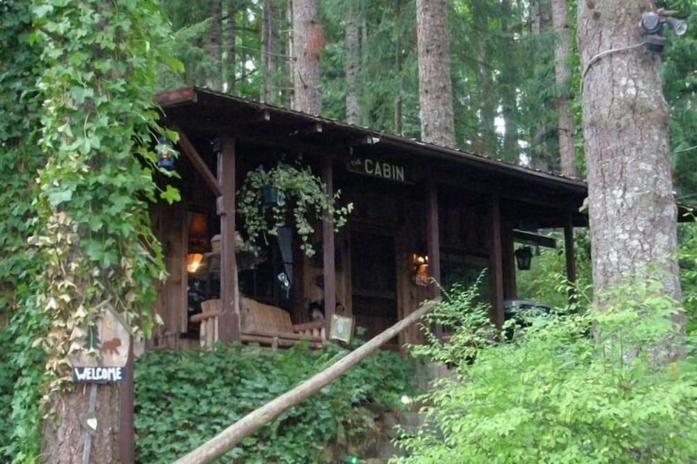 Unique Cabin in the Woods Near Mount St. Helens