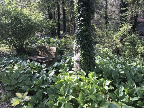 Lakefront,perfect for nature lovers and gardeners ,outdoor enthusiast & downtime