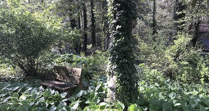 Lakefront,perfect for nature lovers and gardeners ,outdoor enthusiast & downtime