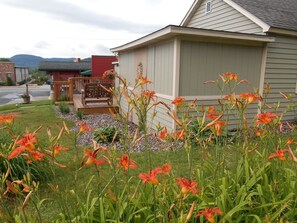 Property grounds - The Bungaleau 1 Bedroom House In Cute Rivertown (Trempealeau)