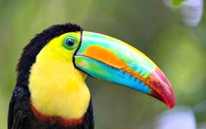 صورة غير مصنفة، 2 من 36، زرّ