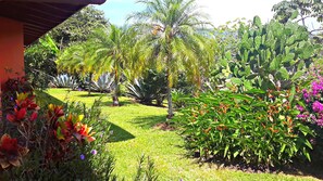 Property grounds - Spectacular views in very private and exquisitely landscaped setting (Atenas)