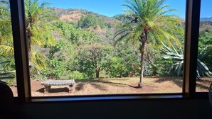 A view through a window of a garden with a bench, palm trees, and a hilly landscape. - Spectacular views in very private and exquisitely landscaped setting (Atenas)