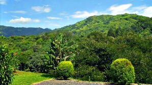 A lush green landscape with rolling hills and a clear blue sky. - Spectacular views in very private and exquisitely landscaped setting (Atenas)