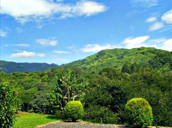 المنطقة المحيطة بالمنشأة