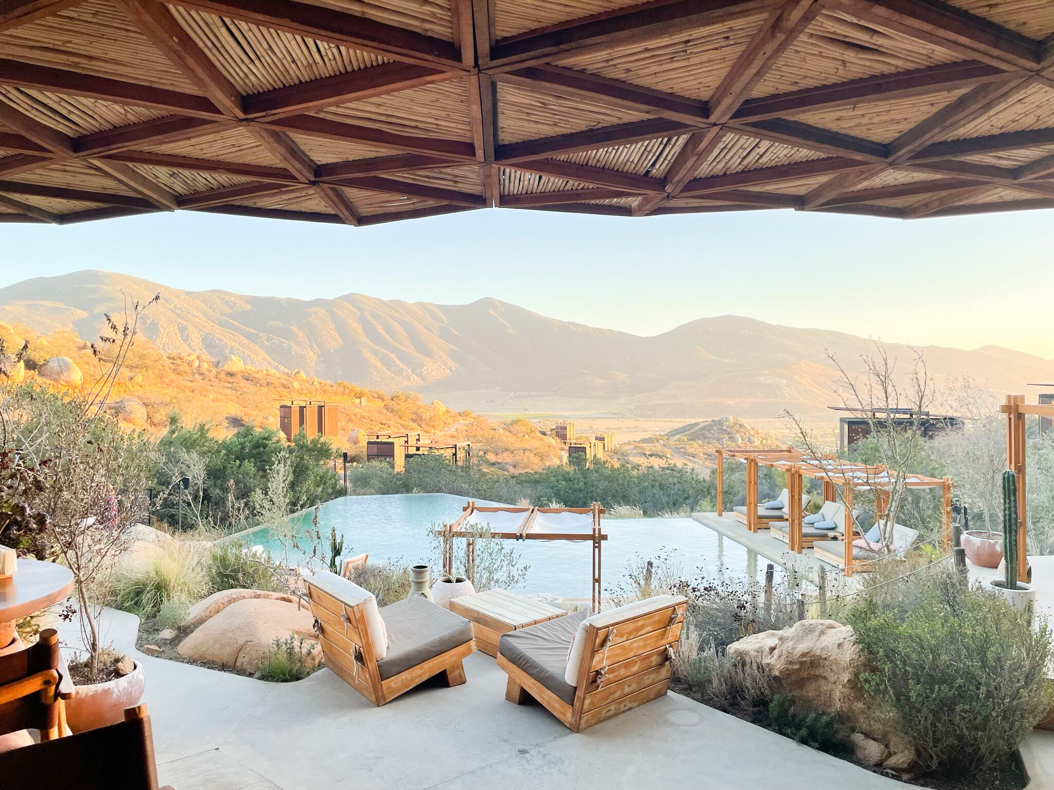 Toba in the Valle de Guadalupe
