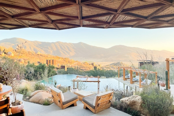 Toba in the Valle de Guadalupe