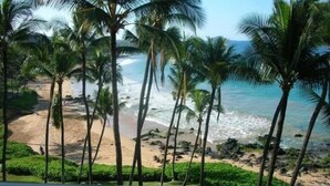 A beach with palm trees and ocean waves. - Beachfront Mana Kai Maui Unit #502 (Kihei)