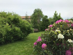 Àrea exterior de l'allotjament