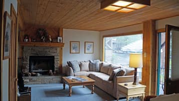 TV, fireplace, DVD player, books