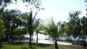 A grassy area with palm trees and a pathway leading to a beach. -  Spring & summer dates available licensed rental vr #25-0235  NO BOATS (tavernier)