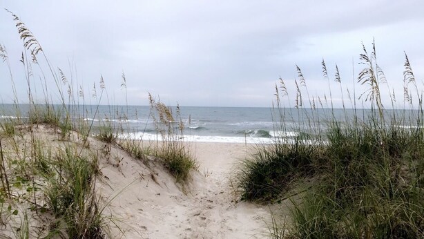 Ein sandiger Küstenpfad führt zum Meer, gesäumt von hohem Gras.