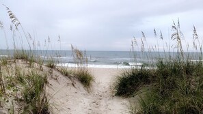 A sandy beach path leading to the ocean with tall grasses on either side. - Memories start where the sand ends & the ocean begins! Ocean views, Pool & WIFI (Carolina Beach)