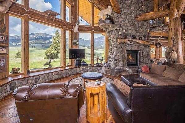 Smart TV, fireplace, DVD player, books