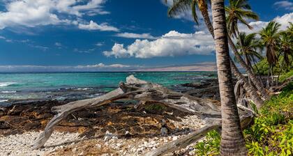 Ocean Front Estate, *Private Pool*, Exclusive Beach Frontage