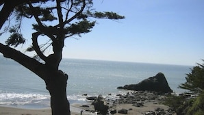 A beach with a rocky outcrop and a tree in the foreground. - Ocean front property, minutes from San Francisco in the middle of National Park. (Muir Beach)